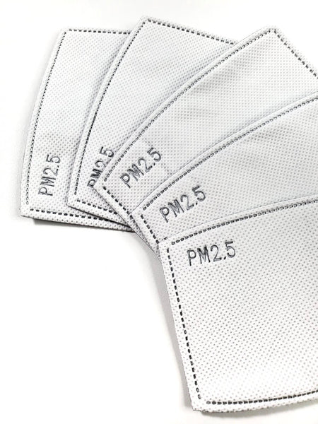 PM2.5 Filter (10 Pack)